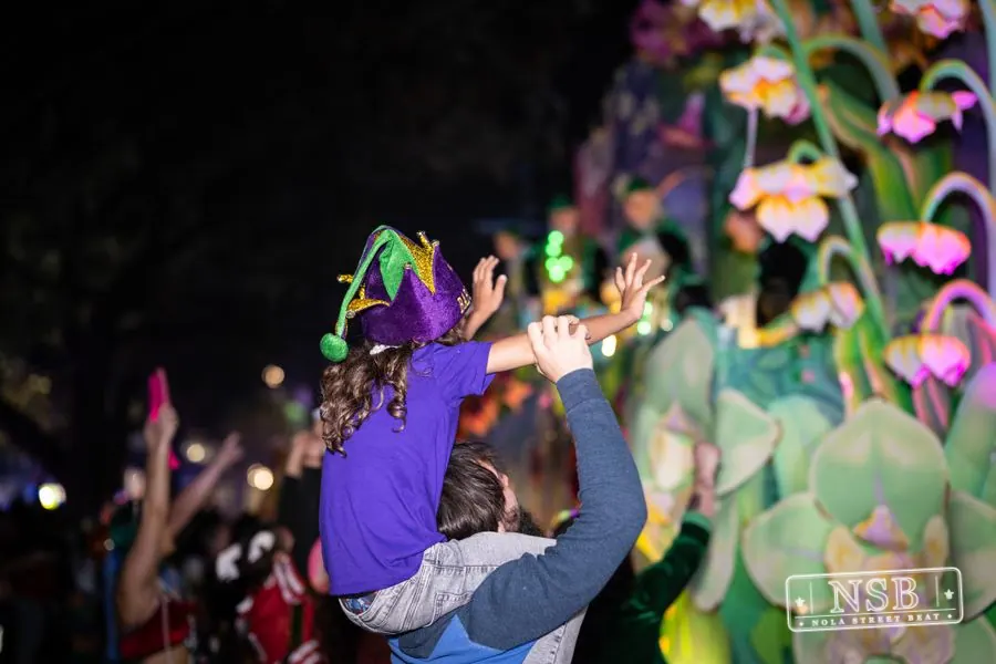 Knights of Babylon & Krewe of Muses in Uptown New Orleans, photo 13