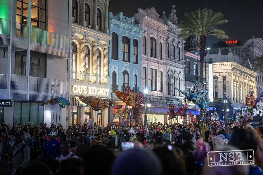 Knights of Babylon & Krewe of Muses in Uptown New Orleans, photo 24
