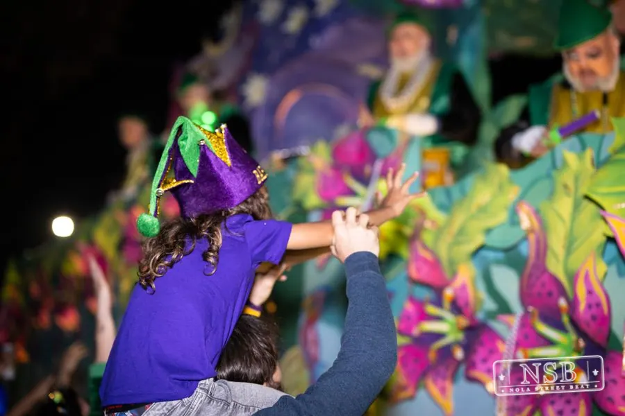 Knights of Babylon & Krewe of Muses in Uptown New Orleans, photo 58