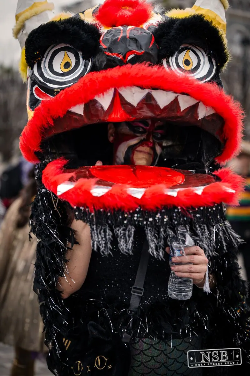 Mardi Gras Day: Close-Up Portraits in New Orleans, Louisiana, photo 10