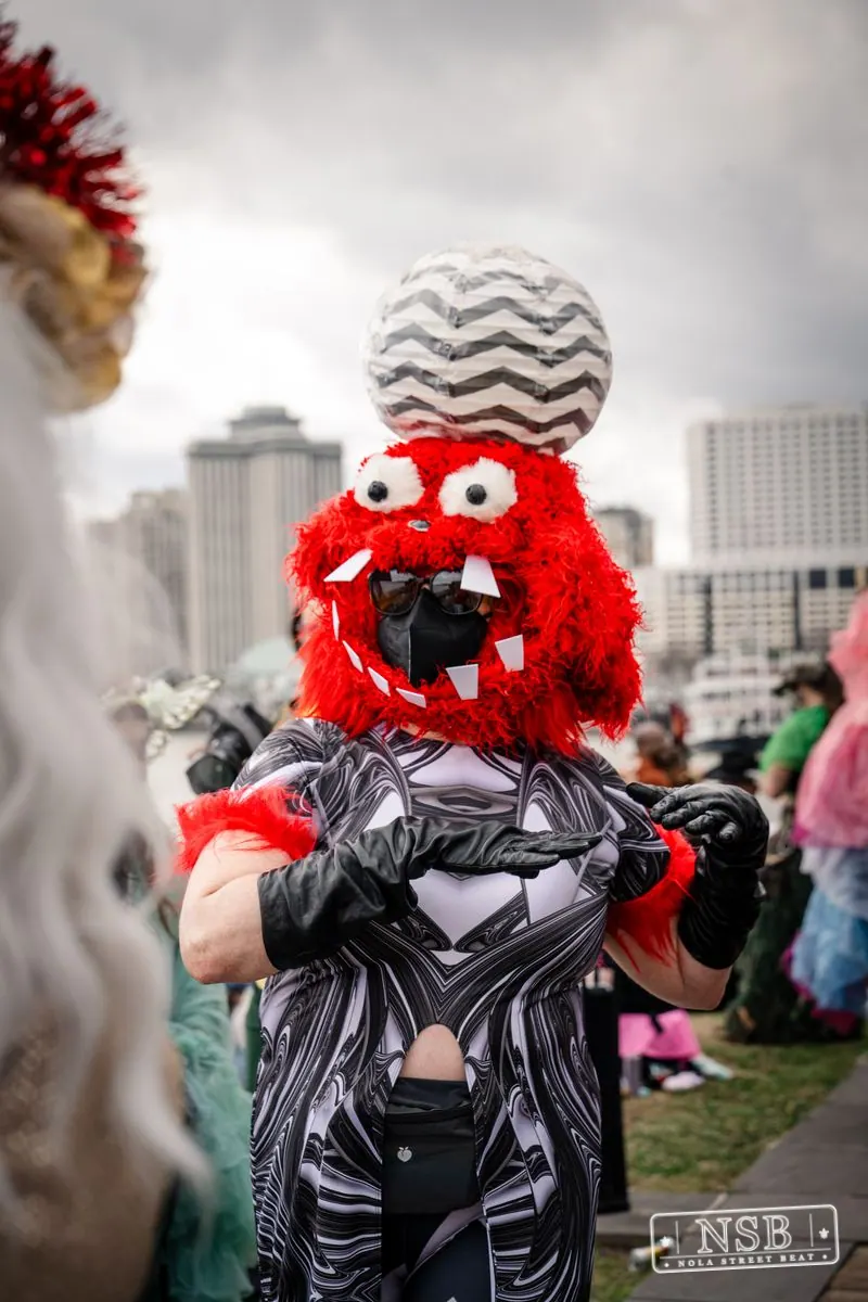 Mardi Gras Day: Close-Up Portraits in New Orleans, Louisiana, photo 21