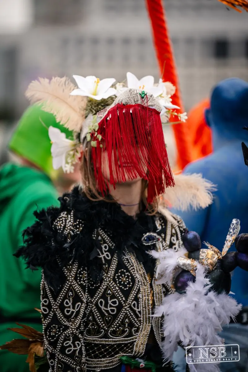 Mardi Gras Day: Close-Up Portraits in New Orleans, Louisiana, photo 22