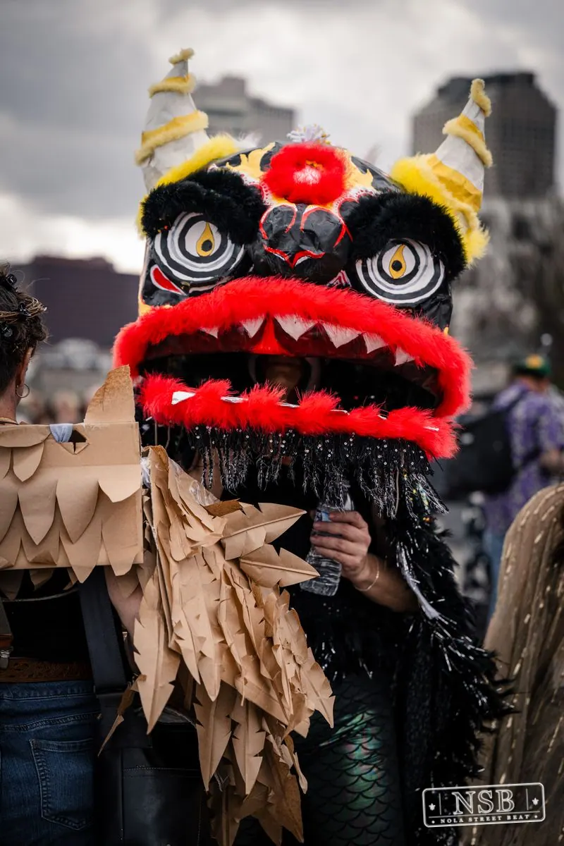 Mardi Gras Day: Close-Up Portraits in New Orleans, Louisiana, photo 34