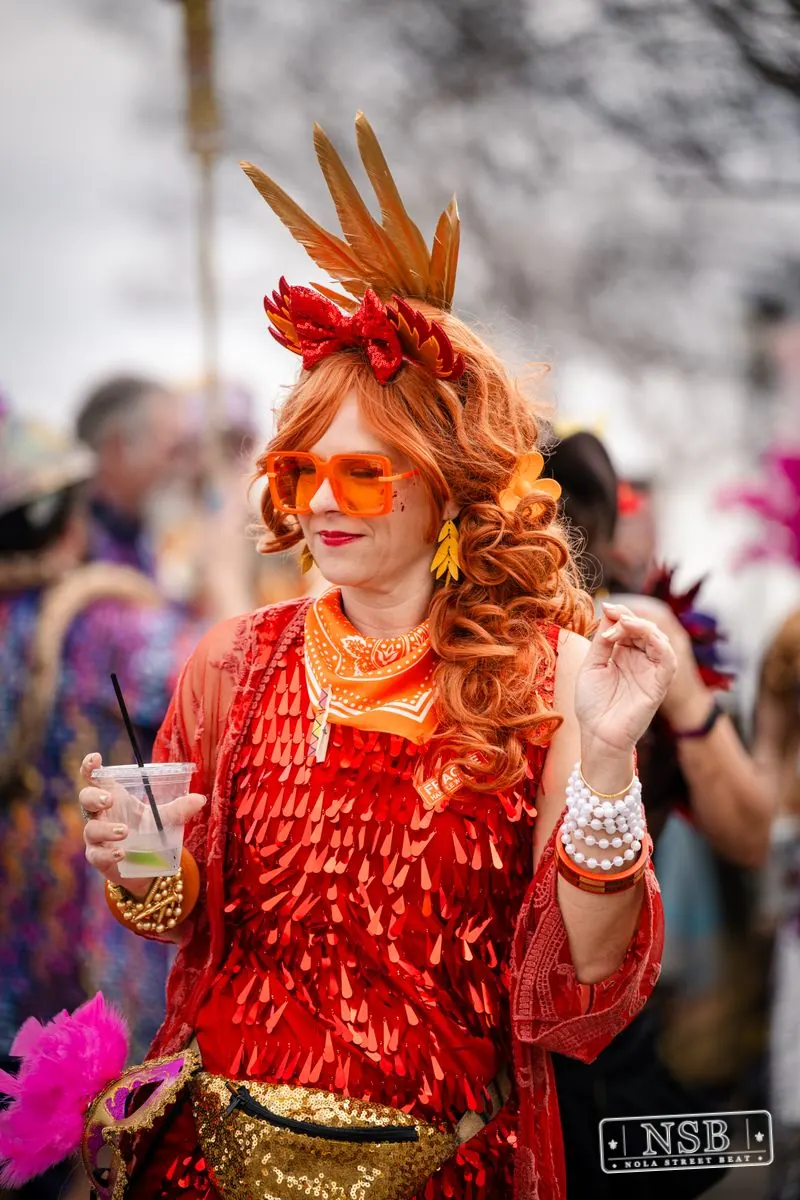 Mardi Gras Day: Close-Up Portraits in New Orleans, Louisiana, photo 35