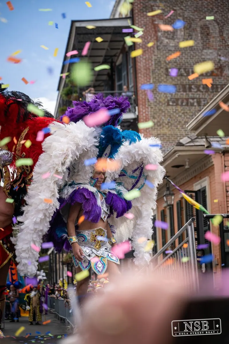 Mardi Gras Day: Costume Contest in New Orleans, Louisiana, photo 56