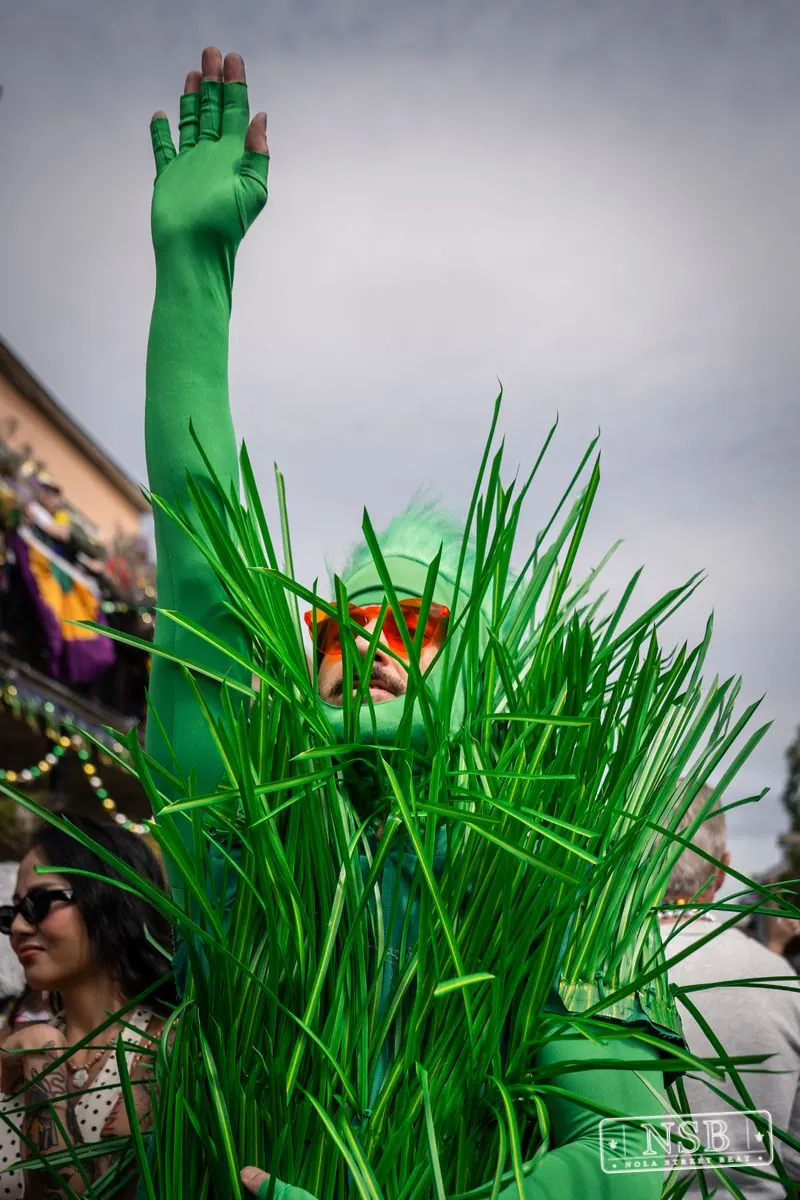 Mardi Gras Day: Costumes Around the City in New Orleans, Louisiana, photo 39