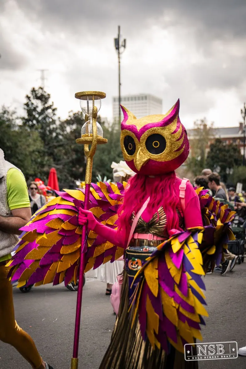 Mardi Gras Day: Costumes Around the City in New Orleans, Louisiana, photo 41