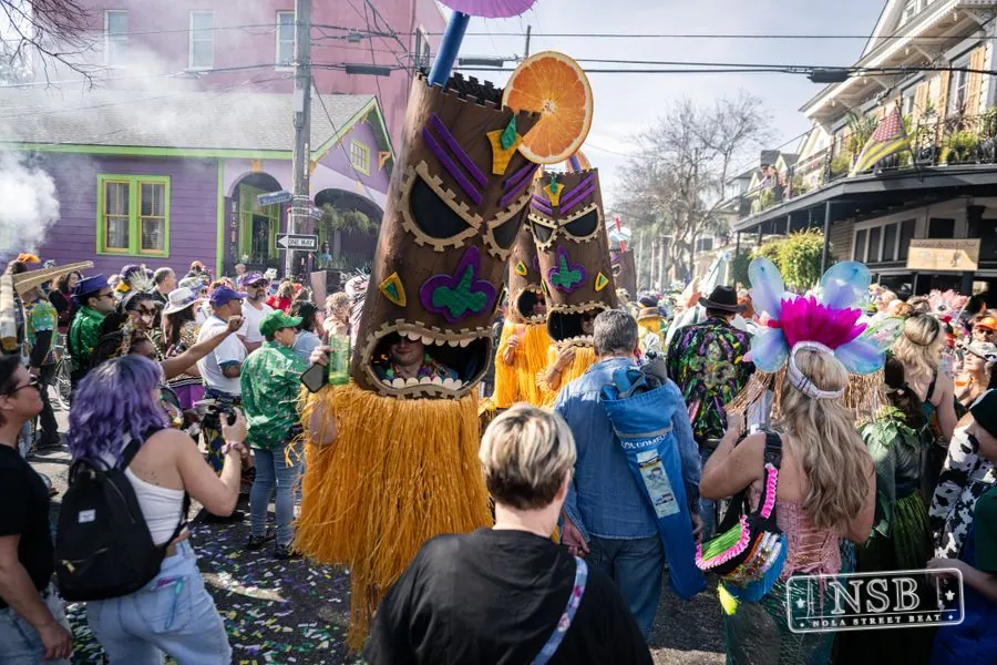 Mardi Gras Day: Costumes Around the City in New Orleans, Louisiana, photo 45