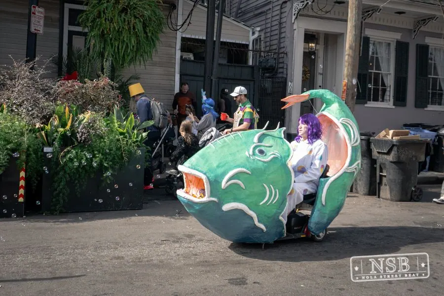 Mardi Gras Day: Costumes Around the City in New Orleans, Louisiana, photo 66