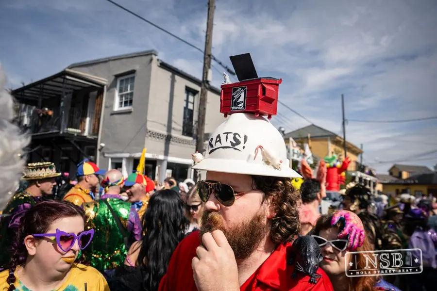 Mardi Gras Day: Costumes Around the City in New Orleans, Louisiana, photo 112