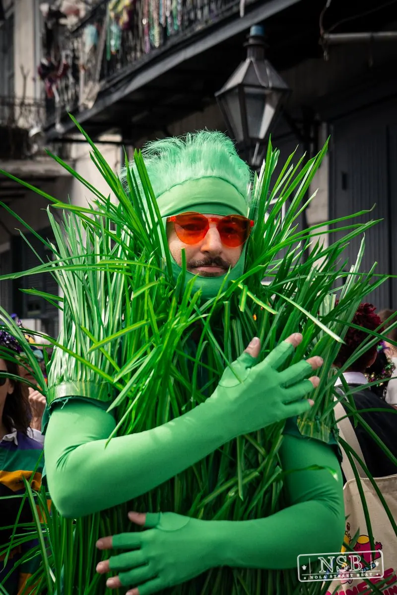 Mardi Gras Day: Costumes Around the City in New Orleans, Louisiana, photo 122