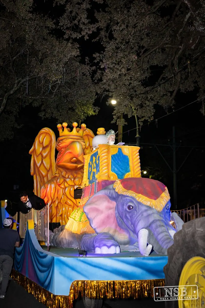Krewe of Druids & Krewe of Alla in Uptown New Orleans, photo 24
