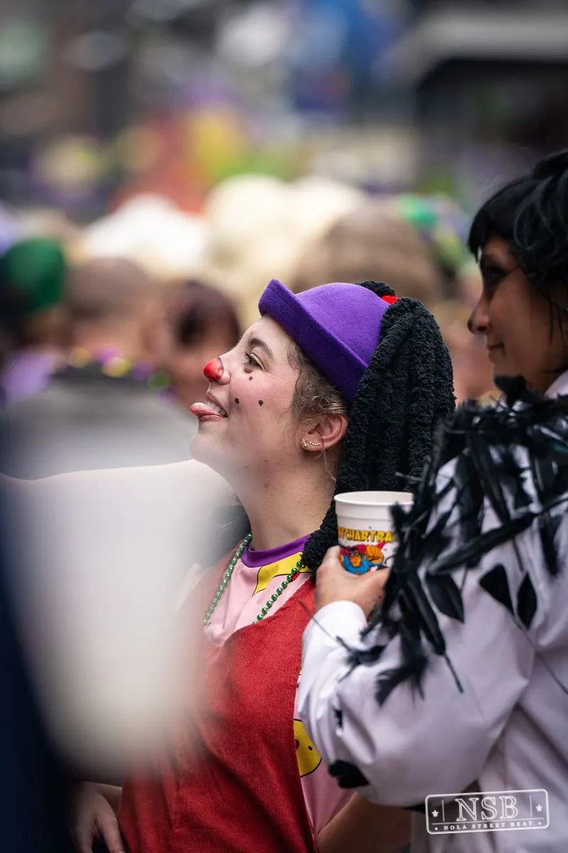 Greasy Friday in New Orleans, Louisiana, photo 81