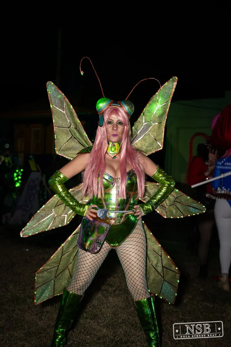 Krewe Bohème in New Orleans, Louisiana, photo 11