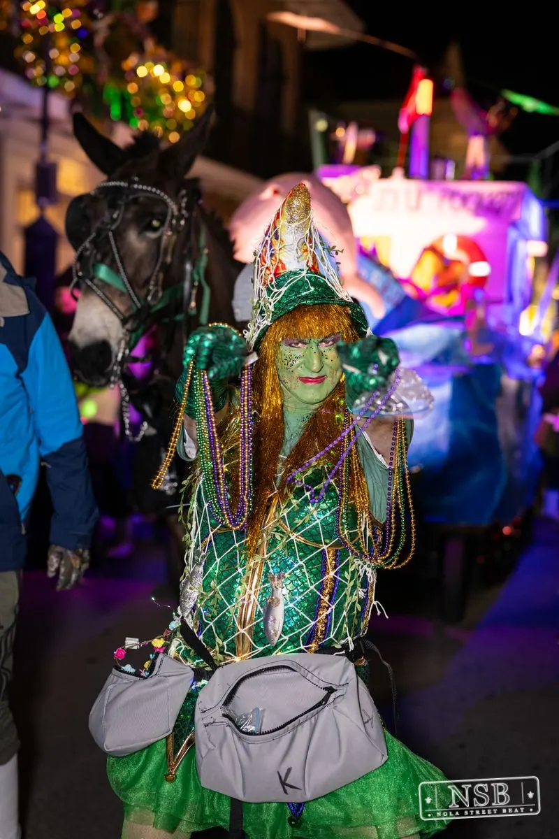 Krewe du Vieux in French Quarter, New Orleans, photo 1