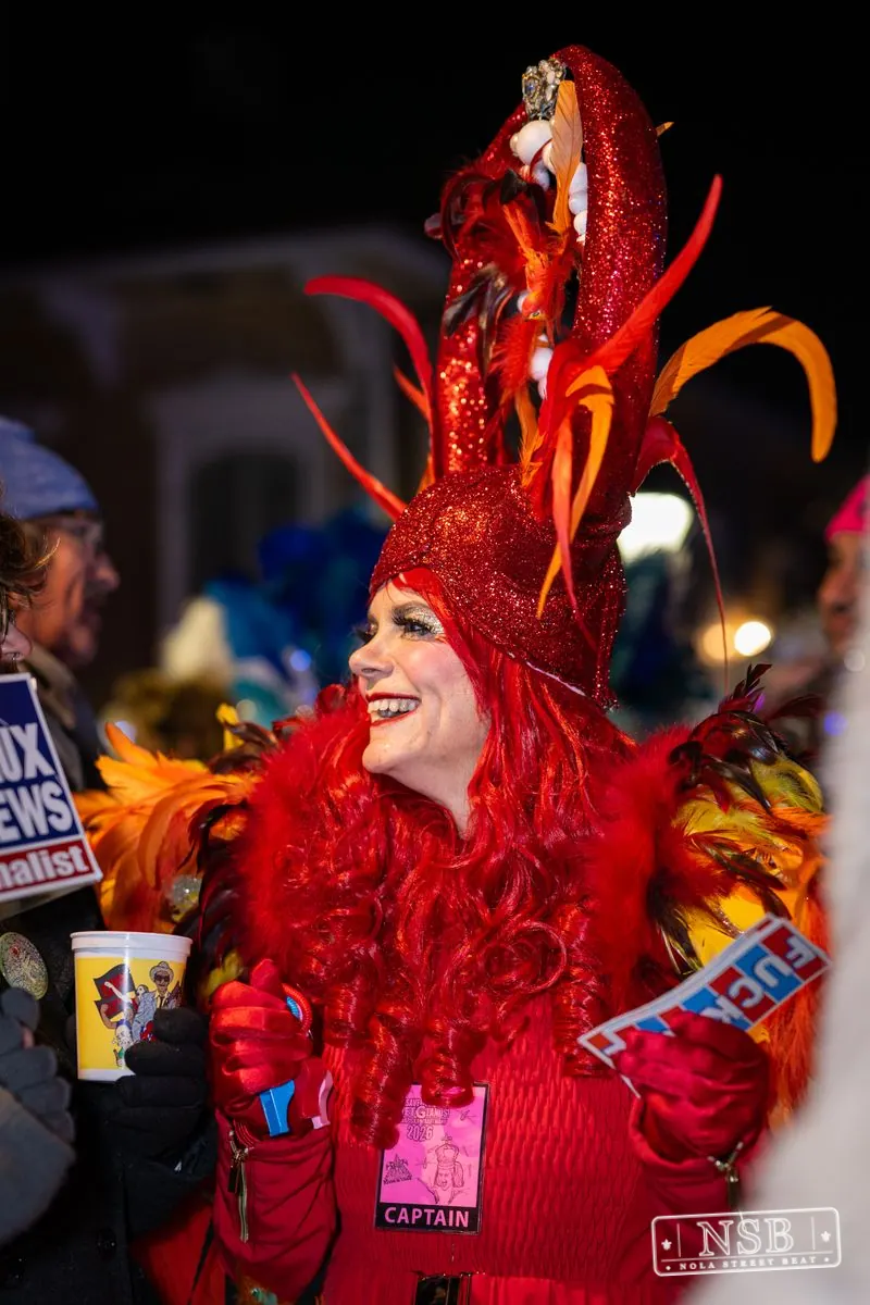 Krewe du Vieux in French Quarter, New Orleans, photo 75