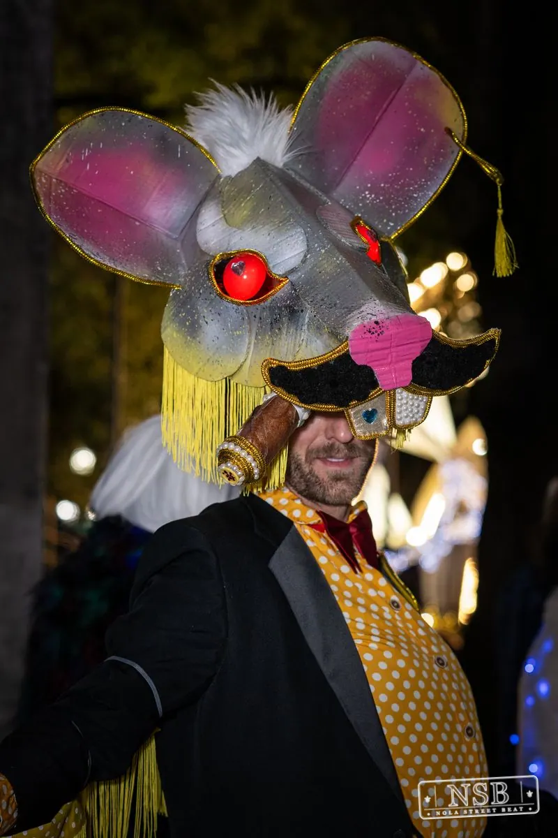 Krewe Mosaïque in New Orleans, Louisiana, photo 48