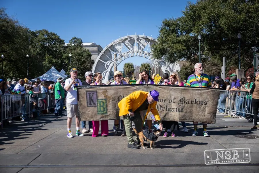 Krewe of Barkus in French Quarter, New Orleans, photo 5