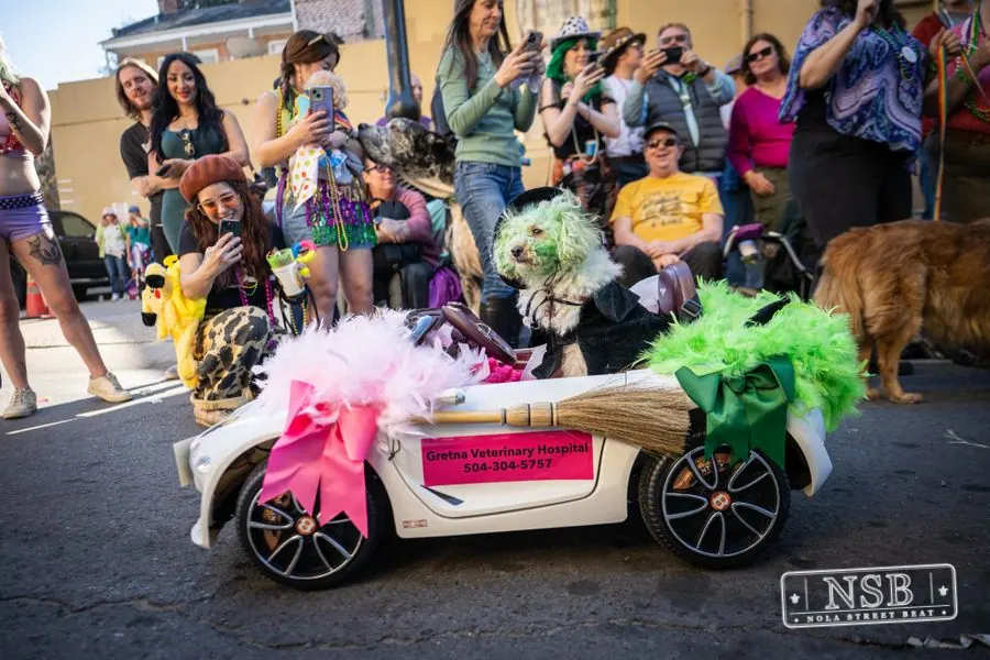 Krewe of Barkus in French Quarter, New Orleans, photo 13