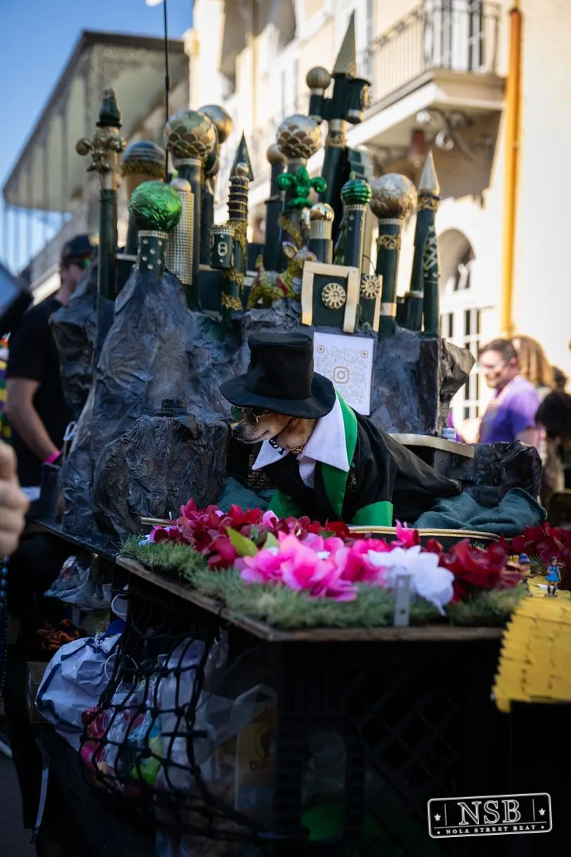 Krewe of Barkus in French Quarter, New Orleans, photo 14