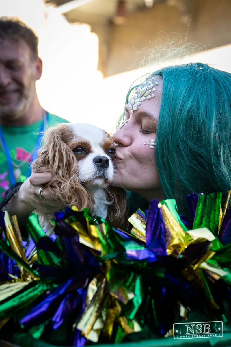 Krewe of Barkus in French Quarter, New Orleans, photo 18
