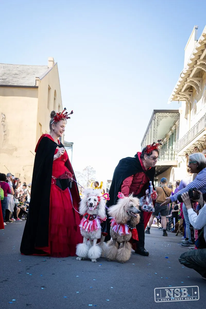 Krewe of Barkus in French Quarter, New Orleans, photo 25