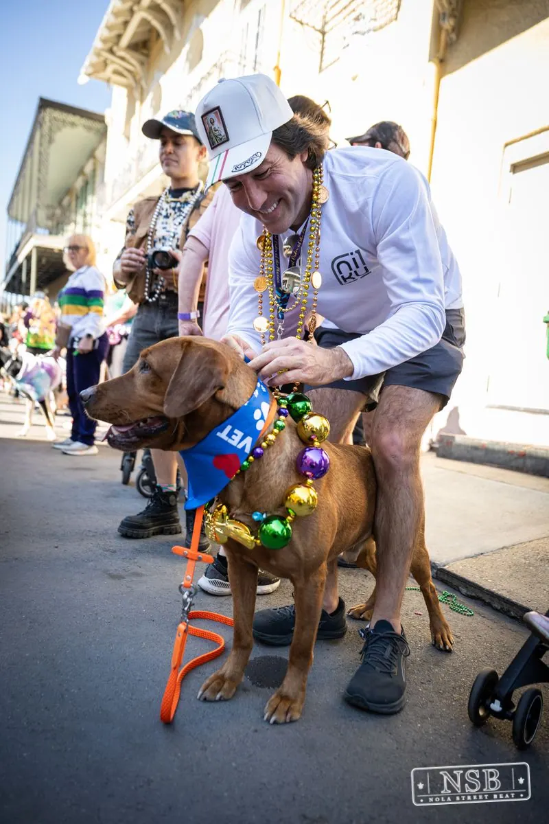 Krewe of Barkus in French Quarter, New Orleans, photo 31