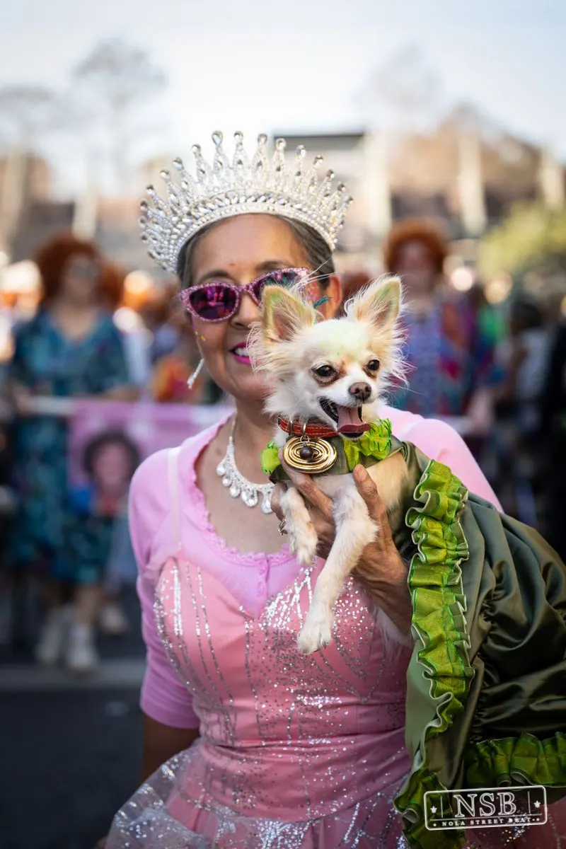 Krewe of Barkus in French Quarter, New Orleans, photo 61