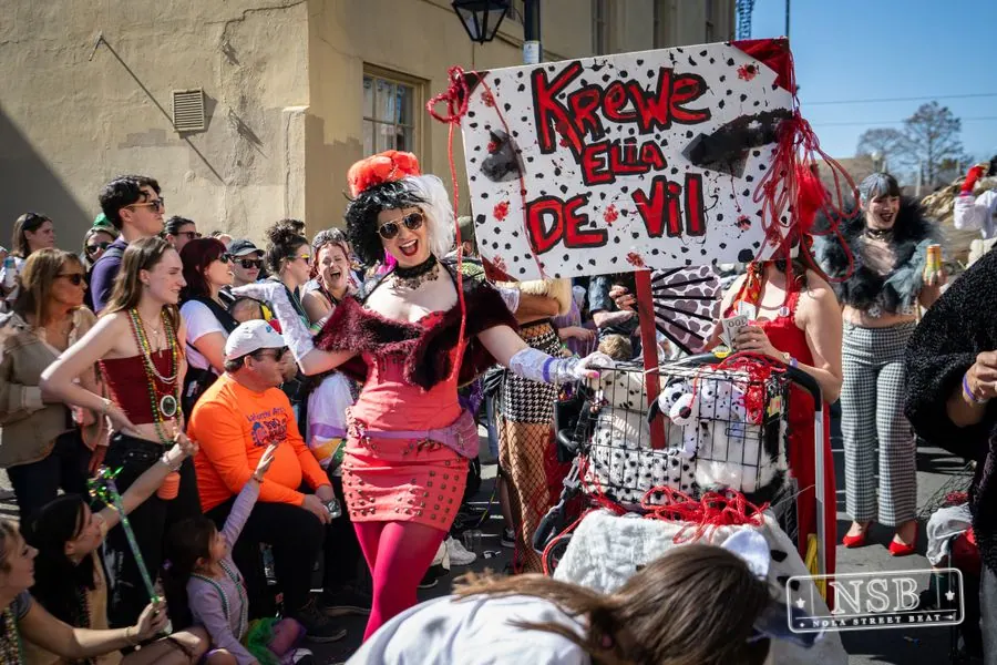Krewe of Barkus in French Quarter, New Orleans, photo 82