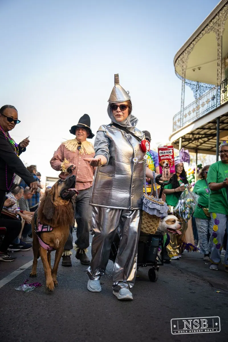 Krewe of Barkus in French Quarter, New Orleans, photo 84