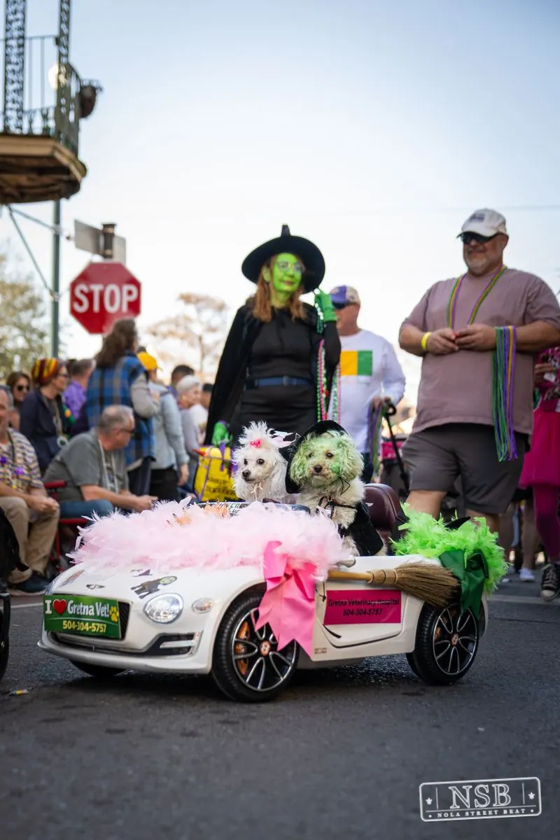 Krewe of Barkus in French Quarter, New Orleans, photo 85