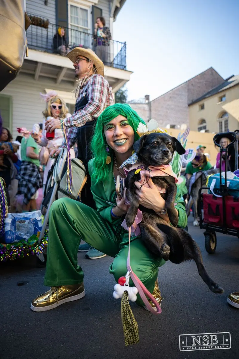 Krewe of Barkus in French Quarter, New Orleans, photo 90