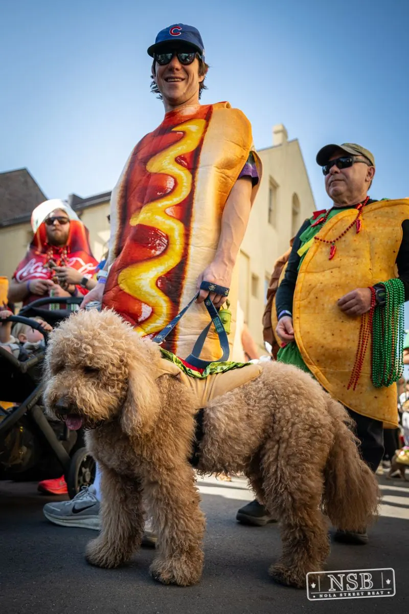 Krewe of Barkus in French Quarter, New Orleans, photo 94