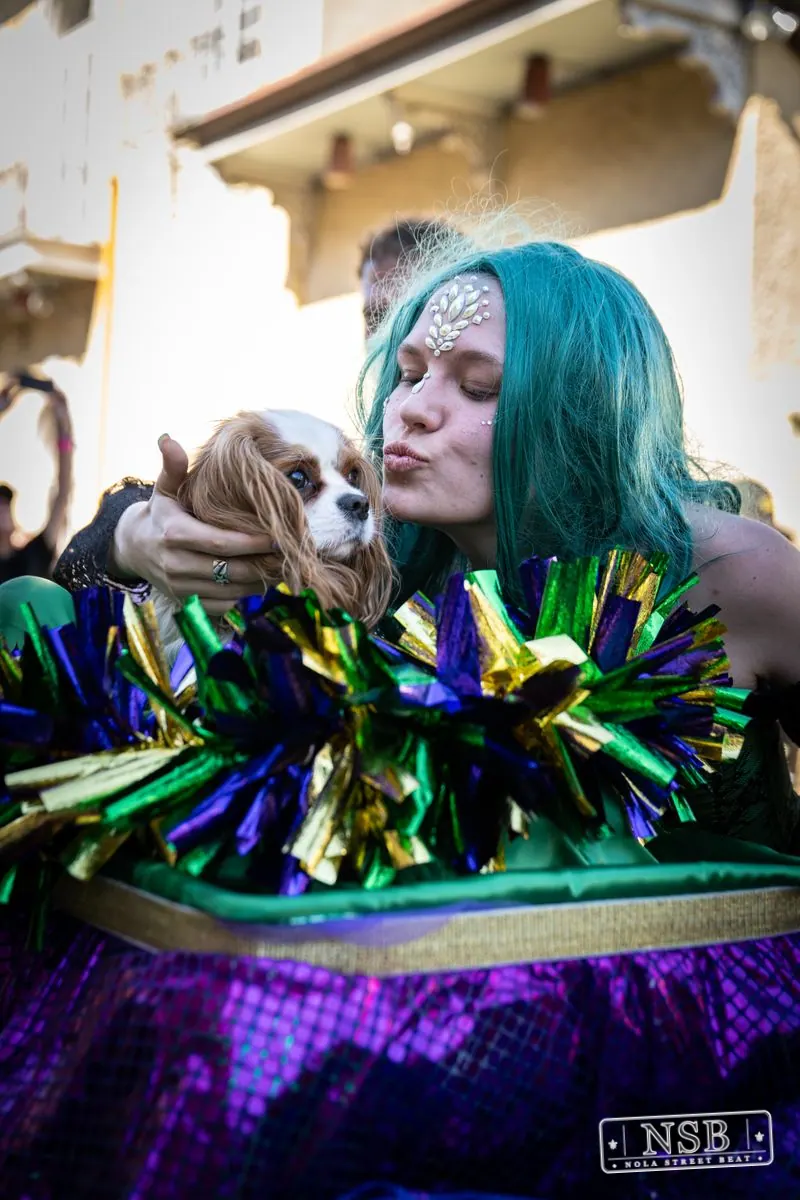 Krewe of Barkus in French Quarter, New Orleans, photo 98