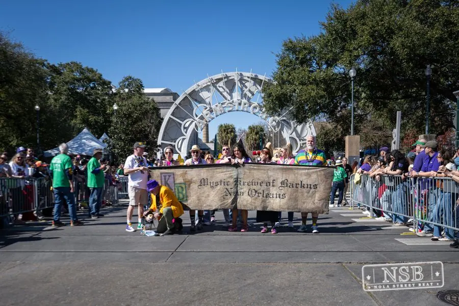 Krewe of Barkus in French Quarter, New Orleans, photo 103