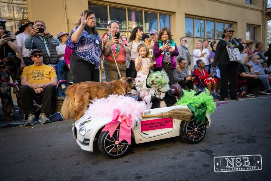 Krewe of Barkus in French Quarter, New Orleans, photo 105