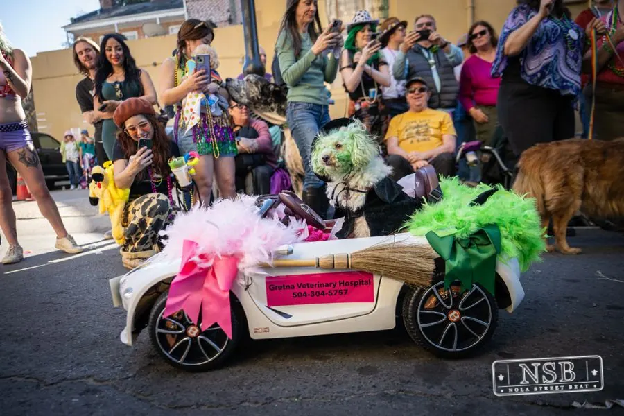 Krewe of Barkus in French Quarter, New Orleans, photo 109