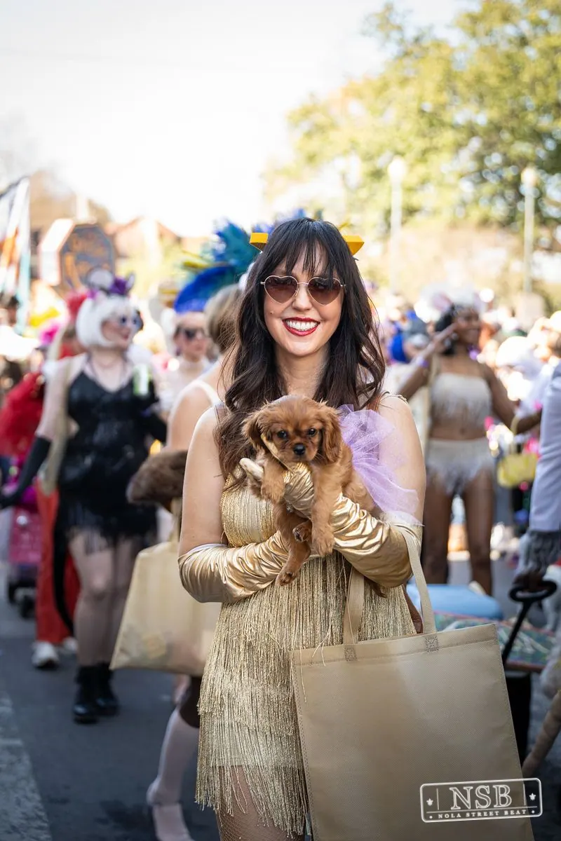 Krewe of Barkus in French Quarter, New Orleans, photo 110