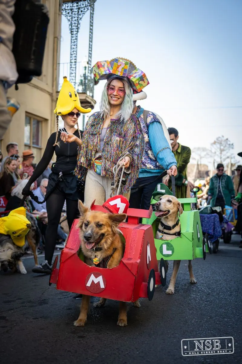 Krewe of Barkus in French Quarter, New Orleans, photo 111
