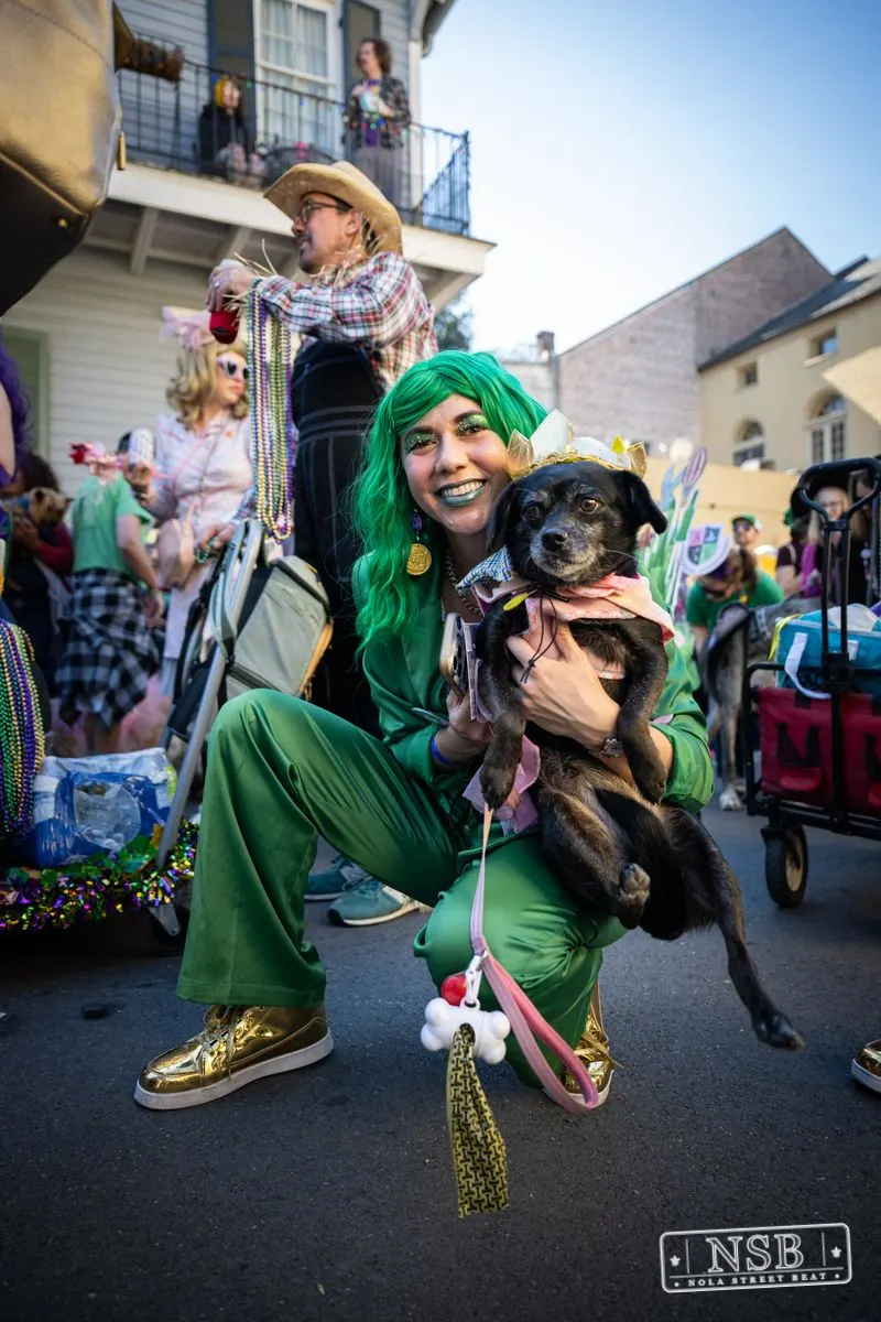 Krewe of Barkus in French Quarter, New Orleans, photo 112