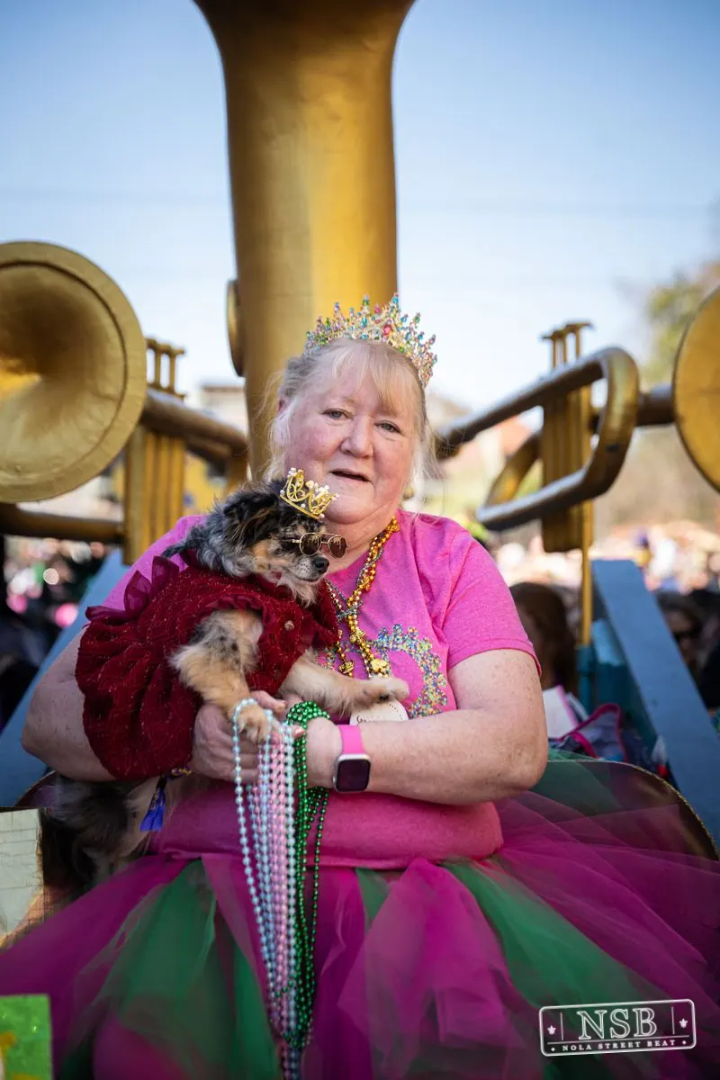Krewe of Barkus in French Quarter, New Orleans, photo 120
