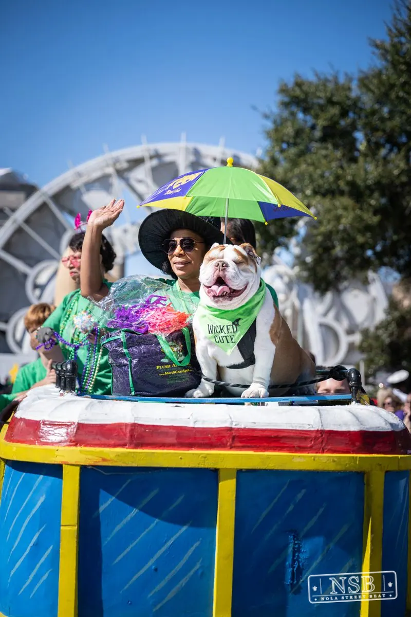 Krewe of Barkus in French Quarter, New Orleans, photo 122