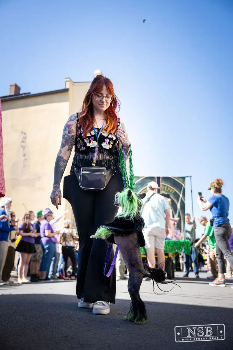 Krewe of Barkus in French Quarter, New Orleans, photo 134