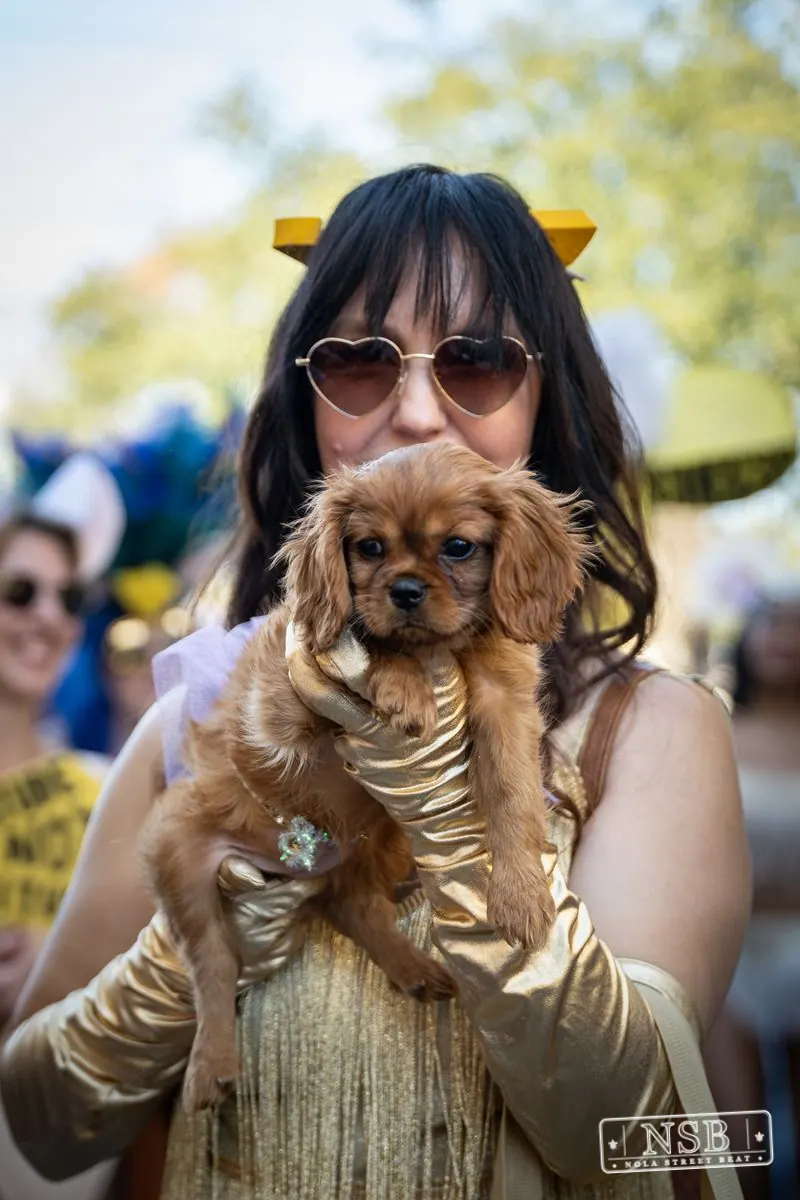 Krewe of Barkus in French Quarter, New Orleans, photo 138