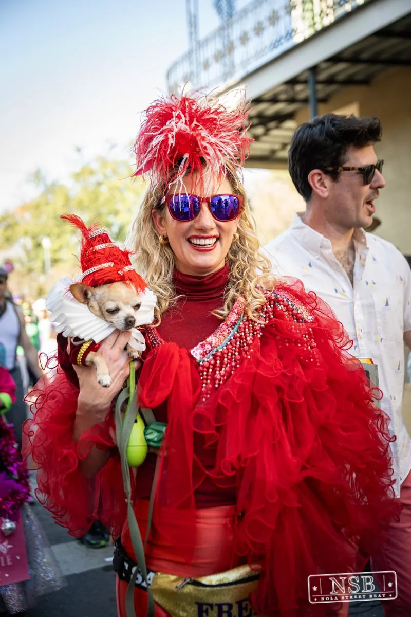 Krewe of Barkus in French Quarter, New Orleans, photo 145
