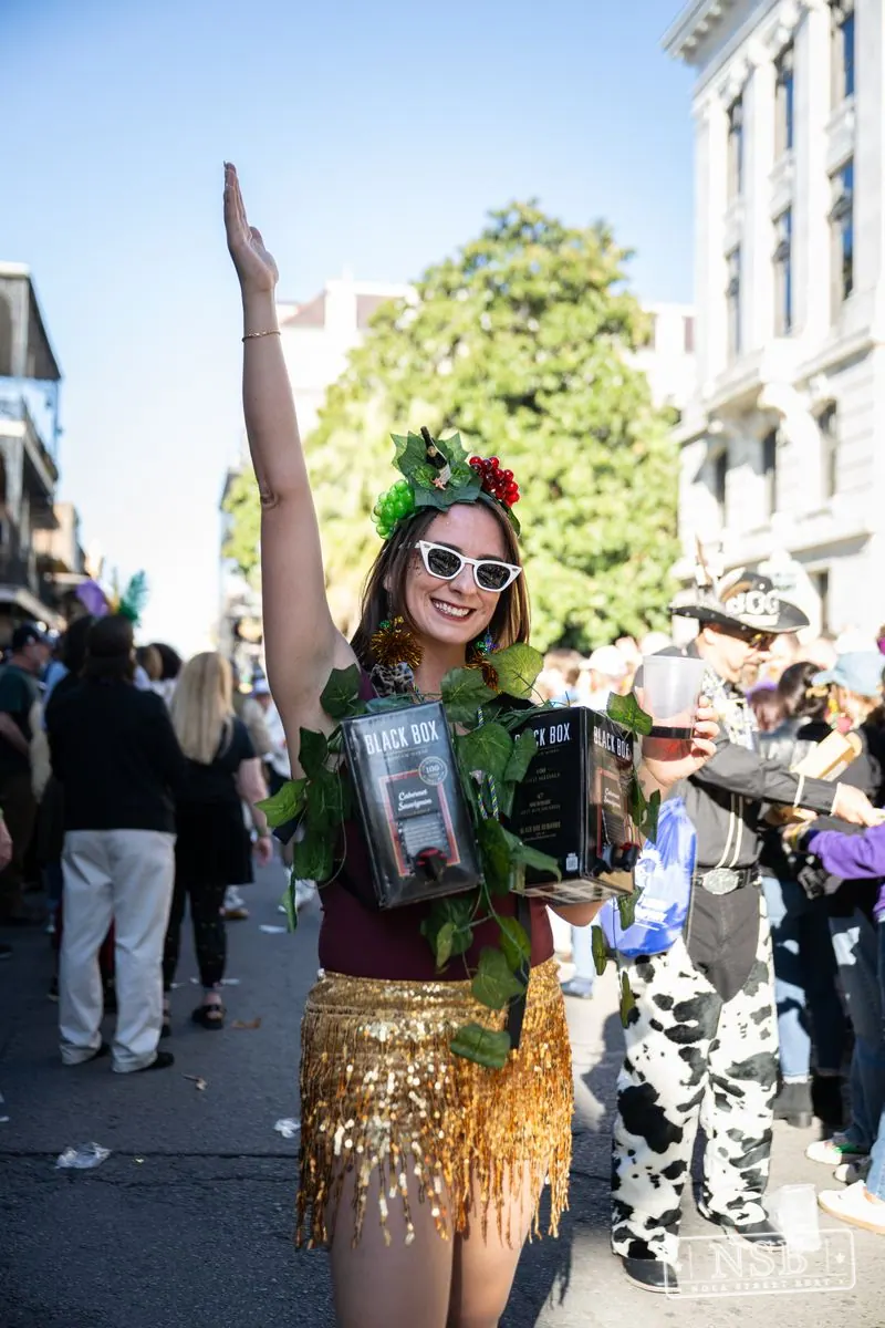 Krewe of Cork: Royal Street in Royal Street, French Quarter, New Orleans, photo 7