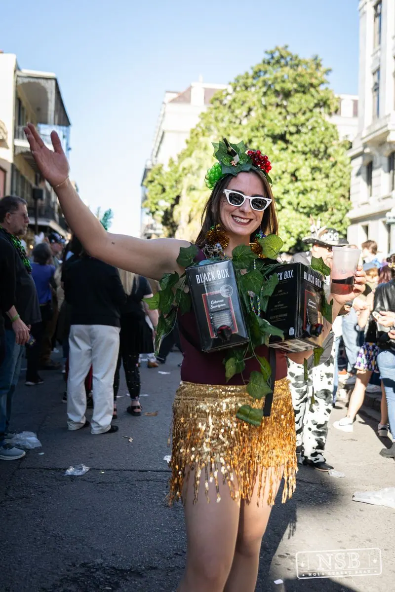 Krewe of Cork: Royal Street in Royal Street, French Quarter, New Orleans, photo 70