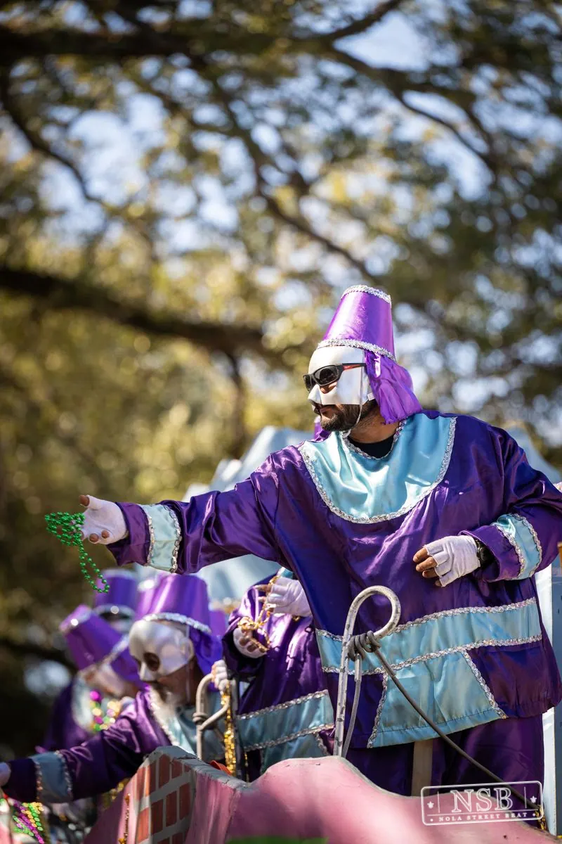 Krewe of Pontchartrain in Uptown New Orleans, photo 9