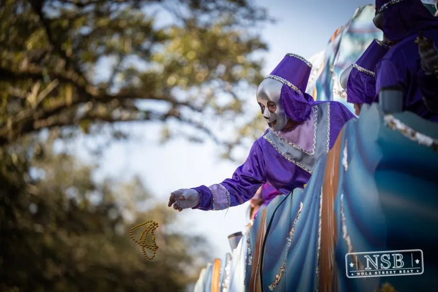 Krewe of Pontchartrain in Uptown New Orleans, photo 10