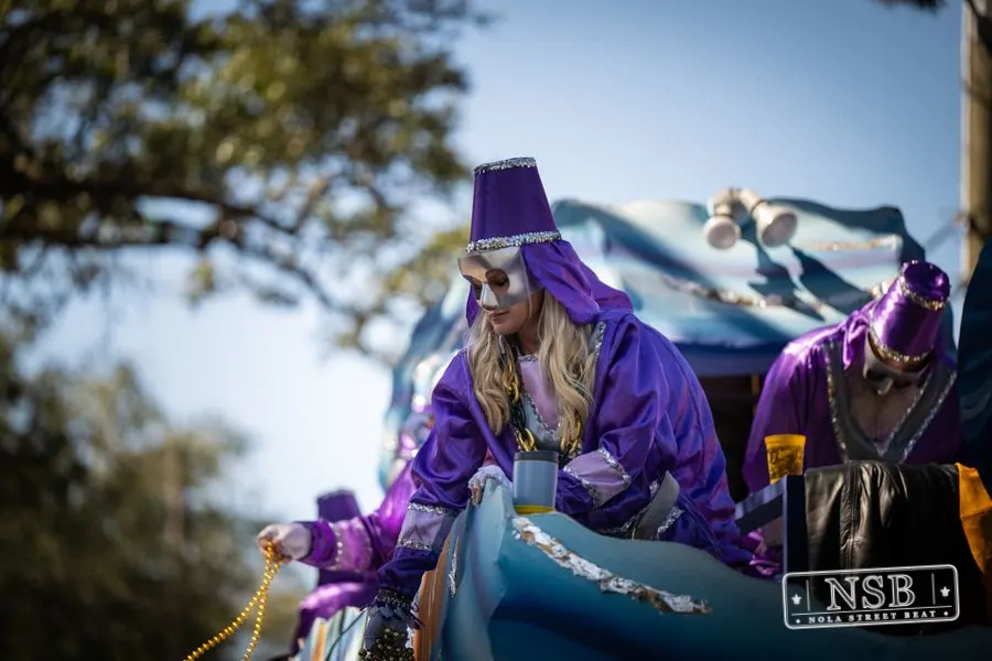 Krewe of Pontchartrain in Uptown New Orleans, photo 11